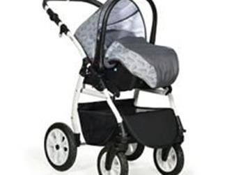  3  1 Indigo Charlotte 18 F -     3  1,        ,    