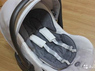 - inglesina   ,    ,  ,    ,  ,   ,  -