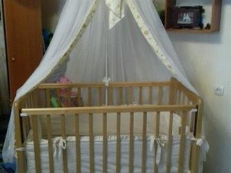      ( ),   ,   3 ,    ,  ,     ,   