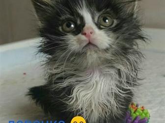 ??????    ??       ?  ,   ??   ??       -