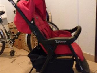    Peg Perego Aria Shopper,    ,    : /  