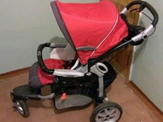   - peg perego gt3,     ,  , : /  