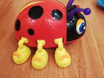    ,     6 ,    ,          ,     