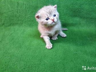      ,  10 ,  -,    ,    ,   