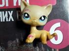 Littlest Pet Shop  