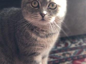     ??,   ,  ,   , ,  ,  