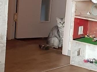     , ,,      ,     ,   ,  