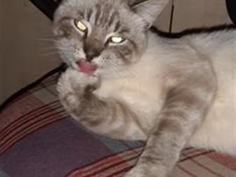     , ,,      ,     ,   ,  