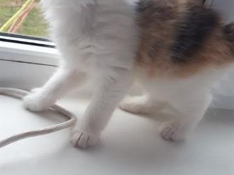   ,    ,     !   ,  