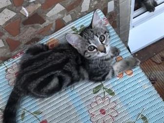      ,  9      ,   ,    ,   ,     ,    