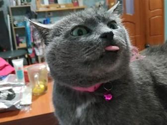 -       ,     ,  -  , ,  ,  