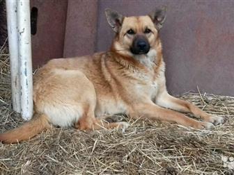  7  ,     (   ),       ,  ,       