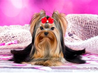     ,     ,  !  ,      ,     