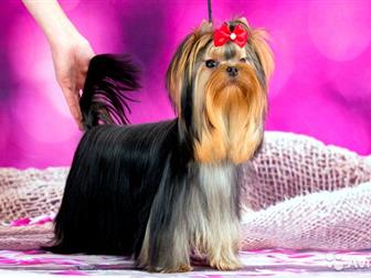     ,     ,  !  ,      ,     