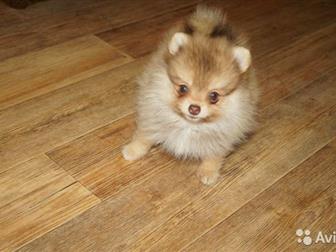  , , , ,  2,5 -   ,    !    -   !  