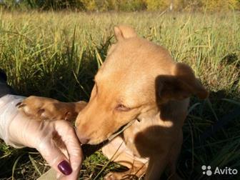 ,  , , ,     -,    (      ), ,    ,  