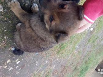       ,,        ,  -     7   14:00,  