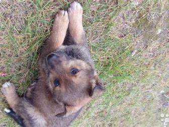       ,,        ,  -     7   14:00,  