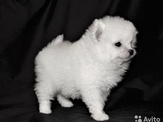      3       ,      , , ,      10000    