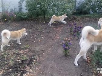  - ,   ,  ,  ,   , ,,   ,   ,  