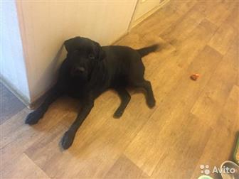    ,  , ,  ,   , ,  ,   ,        