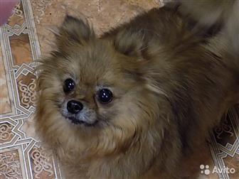   , - ,   4 ,     ,  -     ,  