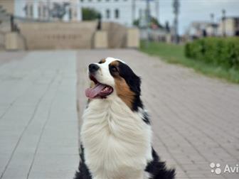   -   ( ) ,  , ,      , ,  