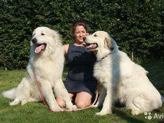     ! 25, 10, 2019,    3   3 ,  NALZAN DE BIGERIONNES () VISKALYS BELT OF VENUS ()  