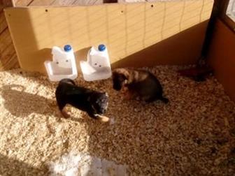     6     -,  4 , 2 ,   1, 5 ,   , , , ,   