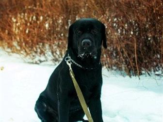    4        ,    ,    ,  