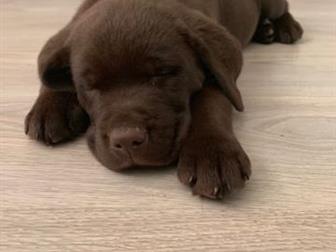    4        ,    ,    ,  