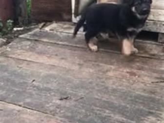          ( - 3,5 ),   , ,  ,   ,   