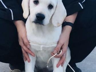  Starsearcher      ,         !       