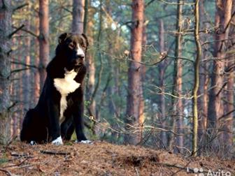   ,   52  ,  7 ,  , , ,   ,   00 ,    ,  ,  