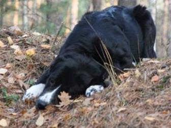   ,   52  ,  7 ,  , , ,   ,   00 ,    ,  ,  