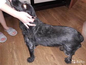  ,     ,  ,   3 ,  , ,   ,   ,   ,     