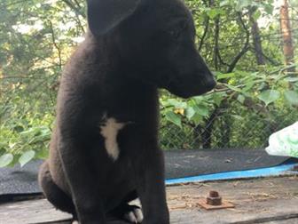      3-4 ,  ,  , ,  ,       ,       