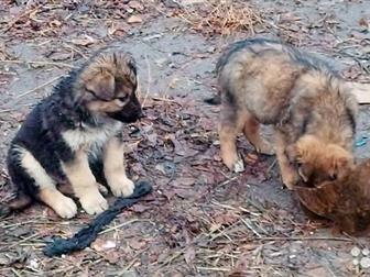  4    , : 1,5 , 3  ,  ,   ,      ,  