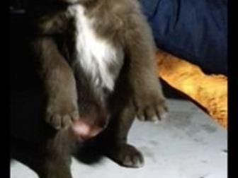  -   ,   2 ,   ,    ,     