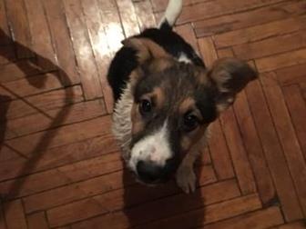     ,(4 ),    , !!  ,  ,   ,    2  ,   