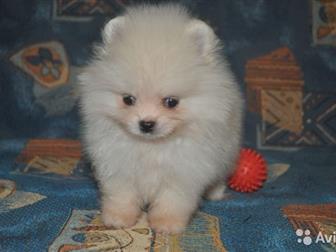         ,   4, 10, 2019, ,   ,   ,     ,  