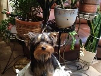    !!! ,, ,,   !!!   1, 9,    , ,   ,  