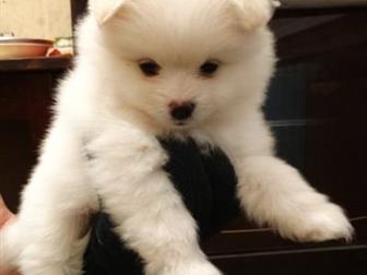      ,   27  2019 ,  5   1 ,   - ,   ,    ,  