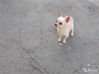   ,     ,   ,    ,   ,  3 ,  ,  