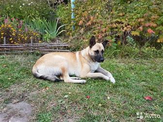       ,    1, 5 , ,   //,  , ,  ,   ,  