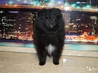         ,    ,         ???? , ,  