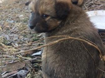      6 ,     ,    , , ,   ,       ,    