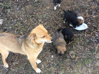      6 ,     ,    , , ,   ,       ,    