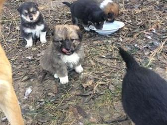      6 ,     ,    , , ,   ,       ,    