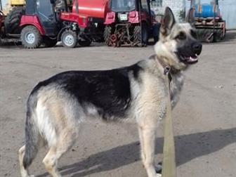   ! ,    ,   ,  3-4 ,    ,   ,    ,  